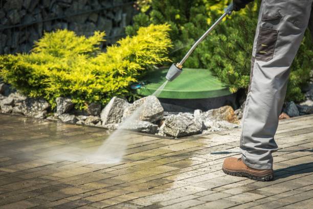 Best Animal Enclosure Cleaning  in South Toms River, NJ